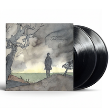 Load image into Gallery viewer, James Blake - The Colour In Anything - Vinyl LP Record
