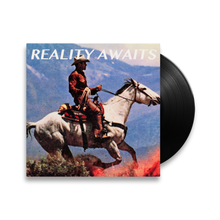 Load image into Gallery viewer, The Strokes - Reality Awaits - Vinyl LP Record