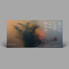 Load image into Gallery viewer, Ben Böhmer - Bloom - Peach Vinyl LP Record - Bondi Records