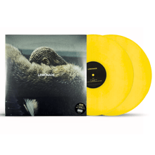 Load image into Gallery viewer, Beyoncé - Lemonade - Yellow Vinyl LP Record - Bondi Records