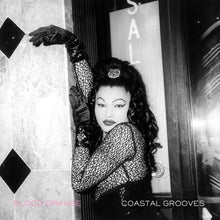 Load image into Gallery viewer, Blood Orange - Costal Grooves - Vinyl LP Record - Bondi Records