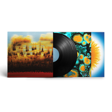Load image into Gallery viewer, Bonobo - Distance In Static - Vinyl LP Record - Bondi Records