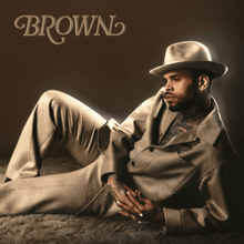Load image into Gallery viewer, Chris Brown - Brown - Black Ice Glitter Vinyl LP Record