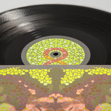 Load image into Gallery viewer, Dangerdoom - Mouse & The Mask - Vinyl LP Record - Bondi Records