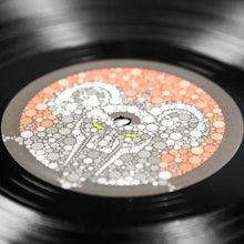 Load image into Gallery viewer, Dangerdoom - Mouse & The Mask - Vinyl LP Record - Bondi Records