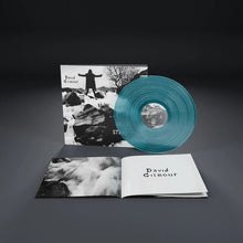Load image into Gallery viewer, David Gilmour - Luck and Strange - Sea Blue Vinyl LP Record - Bondi Records