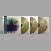 Load image into Gallery viewer, Fink - Hard Believer - Vinyl LP Record - Bondi Records