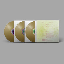 Load image into Gallery viewer, Fink - Hard Believer - Vinyl LP Record - Bondi Records