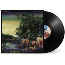 Load image into Gallery viewer, Fleetwood Mac - Tango in the Night - Vinyl LP Record - Bondi Records