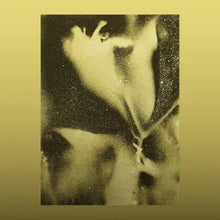 Load image into Gallery viewer, FLYING LOTUS - 1983 (RSD 2026) - Vinyl LP Record - Bondi Records