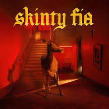 Load image into Gallery viewer, Fontaines D.C. - Skinty Fia - Vinyl LP Record - Bondi Records