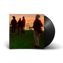 Load image into Gallery viewer, Fred Again & Brian Eno - Secret Life - Vinyl LP Record - Bondi Records