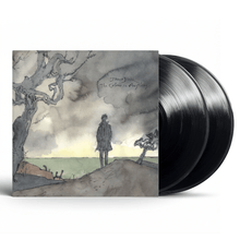 Load image into Gallery viewer, James Blake - The Colour In Anything - Vinyl LP Record - Bondi Records