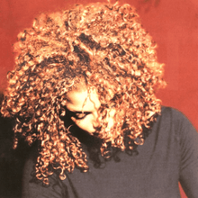 Load image into Gallery viewer, Janet Jackson - The Velvet Rope - Vinyl LP Record - Bondi Records