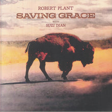 Load image into Gallery viewer, Robert Plant & Suzi Dian - Saving Grace - Vinyl LP Record - Bondi Records