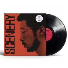 Load image into Gallery viewer, Ryo Fukui - Scenery - Vinyl LP Record - Bondi Records