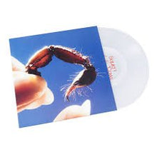 Load image into Gallery viewer, Squid - Cowards - Clear Vinyl LP Record - Bondi Records