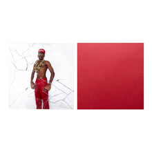 Load image into Gallery viewer, Tyler, The Creator - Don't Tap The Glass (1 Year Anniversary) - Clear Vinyl LP Record - Bondi Records