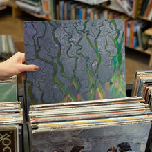 Load image into Gallery viewer, Alt-J - An Awesome Wave - Vinyl LP Record - Bondi Records