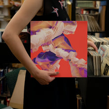 Load image into Gallery viewer, Bicep - Isles - Vinyl LP Record - Bondi Records