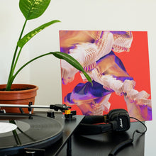 Load image into Gallery viewer, Bicep - Isles - Vinyl LP Record - Bondi Records