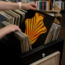 Load image into Gallery viewer, Big Red Machine - Big Red Machine - Vinyl LP Record - Bondi Records