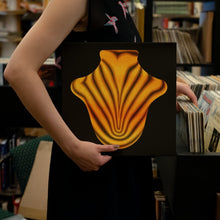 Load image into Gallery viewer, Big Red Machine - Big Red Machine - Vinyl LP Record - Bondi Records