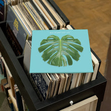 Load image into Gallery viewer, Big Scary - Not Art - Vinyl LP Record - Bondi Records
