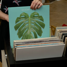 Load image into Gallery viewer, Big Scary - Not Art - Vinyl LP Record - Bondi Records