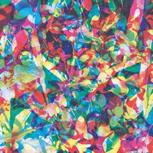 Load image into Gallery viewer, Caribou - Our Love - Vinyl LP Record - Bondi Records