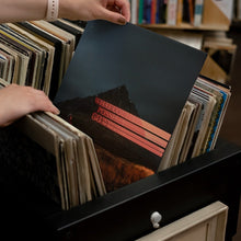 Load image into Gallery viewer, Dominic Fike - What Could Possibly Go Wrong - Vinyl LP Record - Bondi Records