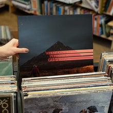 Load image into Gallery viewer, Dominic Fike - What Could Possibly Go Wrong - Vinyl LP Record - Bondi Records