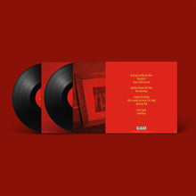 Load image into Gallery viewer, Fontaines D.C. - Skinty Fia - Deluxe Edition Vinyl LP Record - Bondi Records