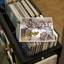 Load image into Gallery viewer, Idles - Joy As An Act Of Resistance - Vinyl LP Record - Bondi Records