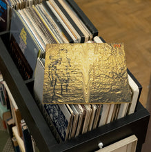 Load image into Gallery viewer, Jarryd James - PM - Vinyl LP Record - Bondi Records