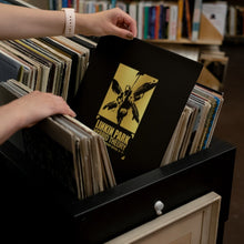Load image into Gallery viewer, Linkin Park - Hybrid Theory (20th Anniversary Edition) - Vinyl LP Record - Bondi Records