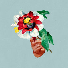 Load image into Gallery viewer, Maribou State - Kingdoms In Colour - Vinyl LP Record - Bondi Records