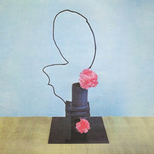 Load image into Gallery viewer, Methyl Ethel - Oh Inhuman Spectacle - Vinyl LP Record - Bondi Records