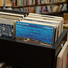 Load image into Gallery viewer, Red Hot Chili Peppers - Californication - Vinyl LP Record - Bondi Records