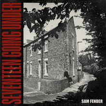Load image into Gallery viewer, Sam Fender - Seventeen Going Under - Vinyl LP Record - Bondi Records