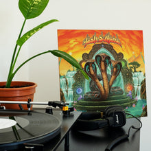 Load image into Gallery viewer, Tash Sultana - Terra Firma - Vinyl LP Record - Bondi Records