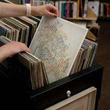 Load image into Gallery viewer, The National - High Violet - Vinyl LP Record - Bondi Records