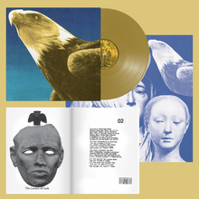 Load image into Gallery viewer, Protomartyr - Hotel Usona (Indie Exclusive) - Gold Vinyl LP Record
