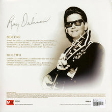 Load image into Gallery viewer, Roy Orbison - 20 Golden Classics - Lucky Dip Marble Vinyl LP Record
