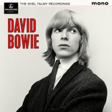 Load image into Gallery viewer, David Bowie - The Shel Talmy Recordings - Vinyl LP Record
