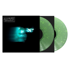 Load image into Gallery viewer, Phoebe Bridgers - Lost Weekend - Rogue Planet Vinyl LP Record
