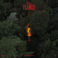 Load image into Gallery viewer, La Roux - Old Flames - Vinyl LP Record
