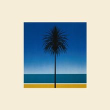 Load image into Gallery viewer, Metronomy - The English Riviera - Vinyl LP Record
