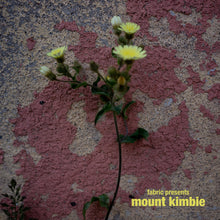 Load image into Gallery viewer, Mount Kimbie - fabric presents Mount Kimbie - Vinyl LP Record
