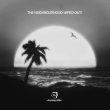 Load image into Gallery viewer, The Neighbourhood - Wiped Out! (10th Anniversary) - Vinyl LP Record
